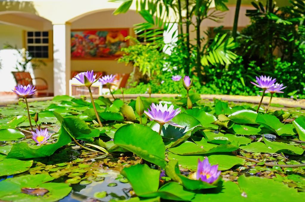 Blue Horizons Garden