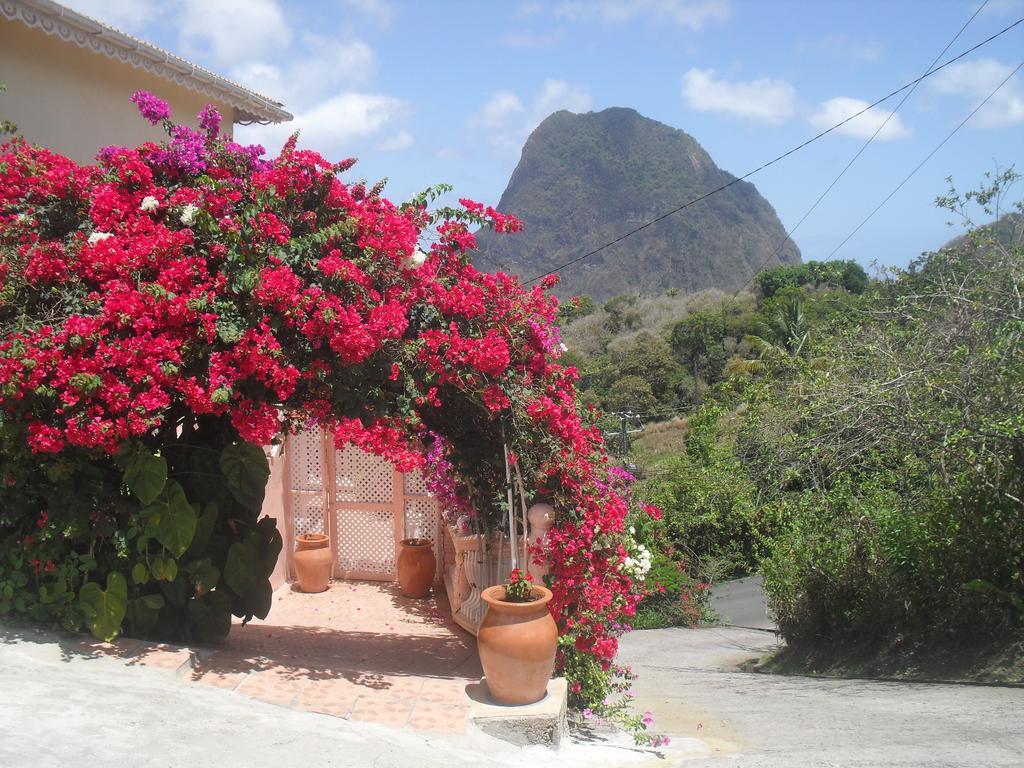 Piton Vista Pousada