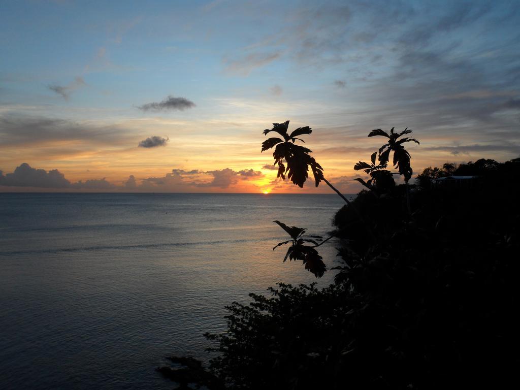Casa Del Vega A Little Peace Of Heaven 3* Castries