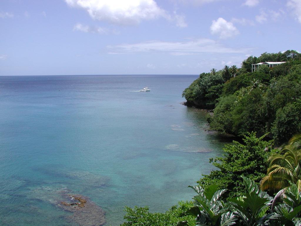 Casa Del Vega A Little Peace Of Heaven 3* Castries