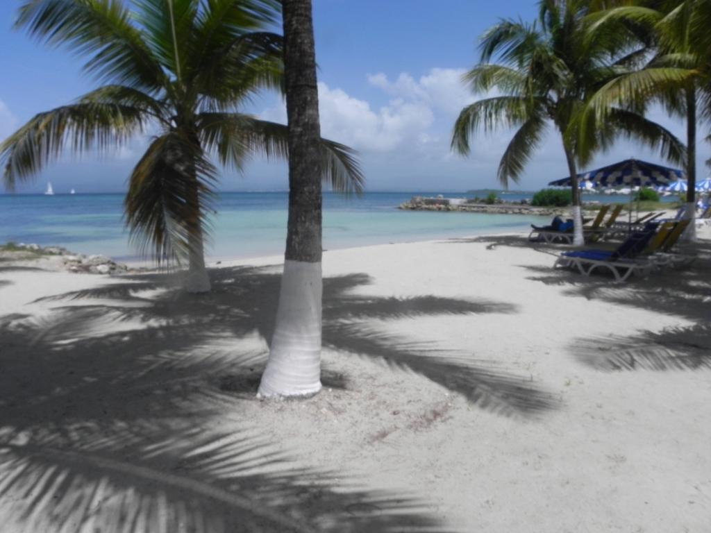 Bord De Tres Fonctionnel -acces Direct & Vue Exceptionnelle Apartment