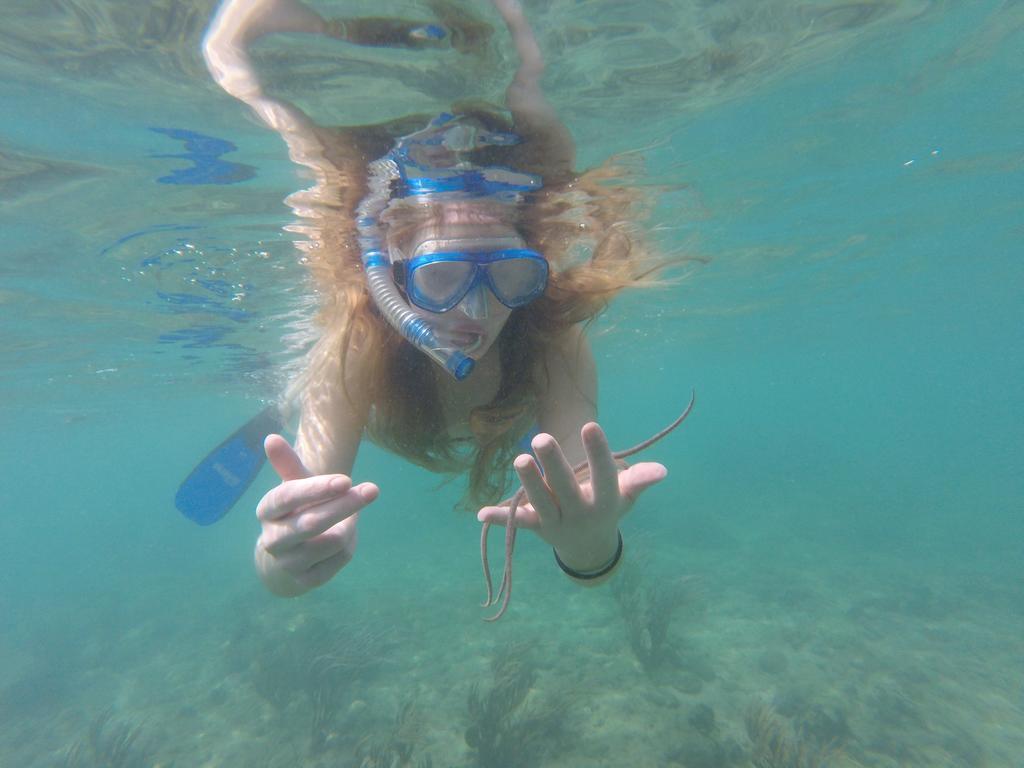 Fish Tobago 4* Buccoo