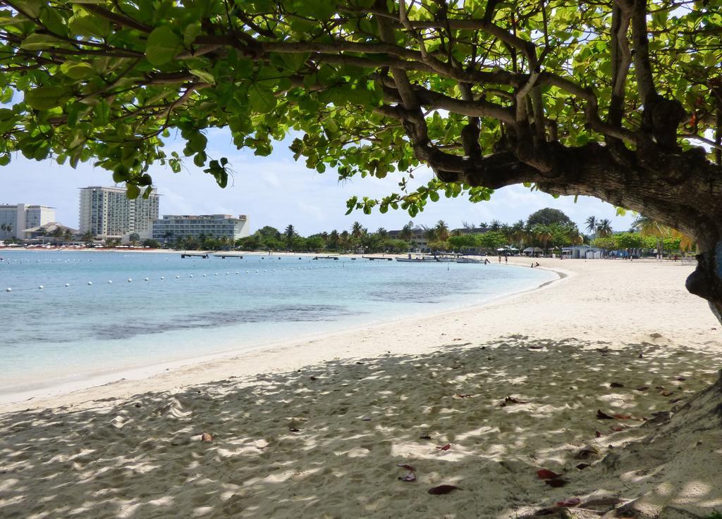 Beach One Bedroom 13 Apartment Ocho Rios