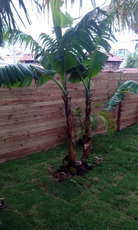 Acomodação com café da manhã  Hotel Tipico Maura