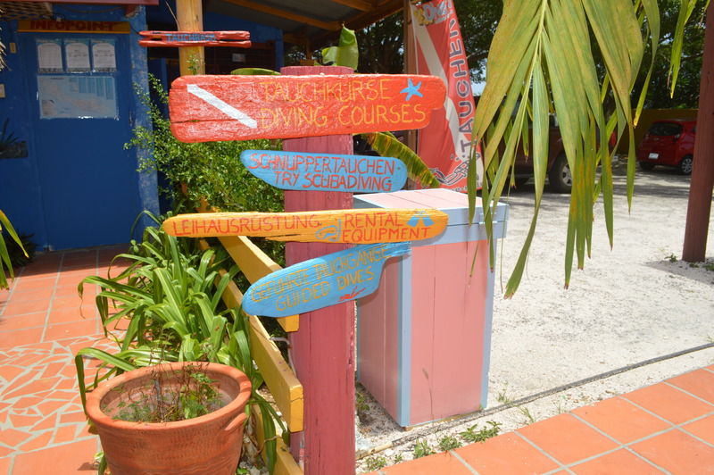 Rancho El Sobrino Hotel