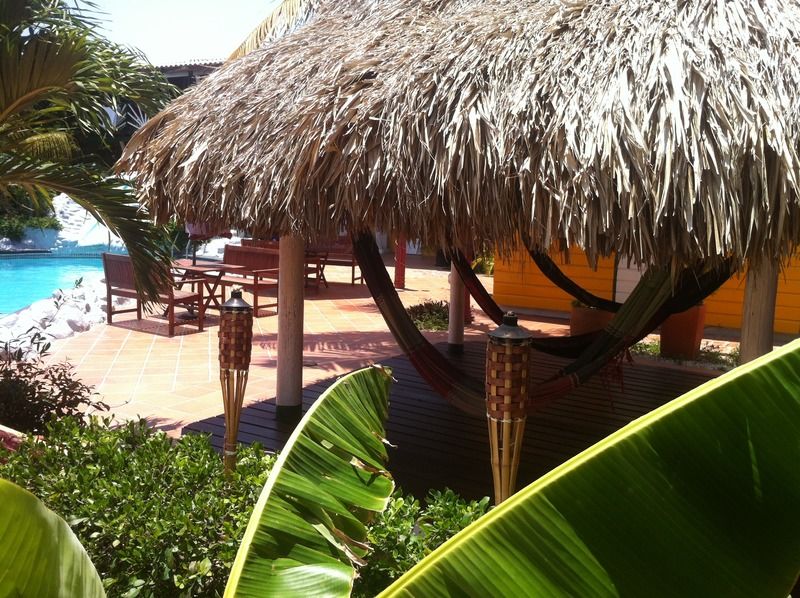 Rancho El Sobrino Westpunt