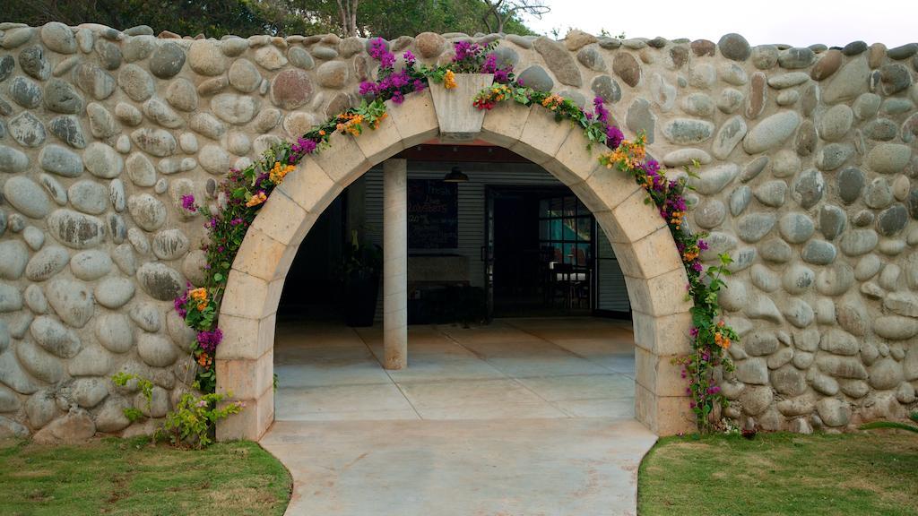 Pagua Bay House - Oceanfront Cabana's