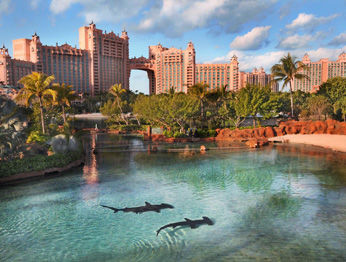 Hotel Atlantis - The Coral At Atlantis Autograph Collection