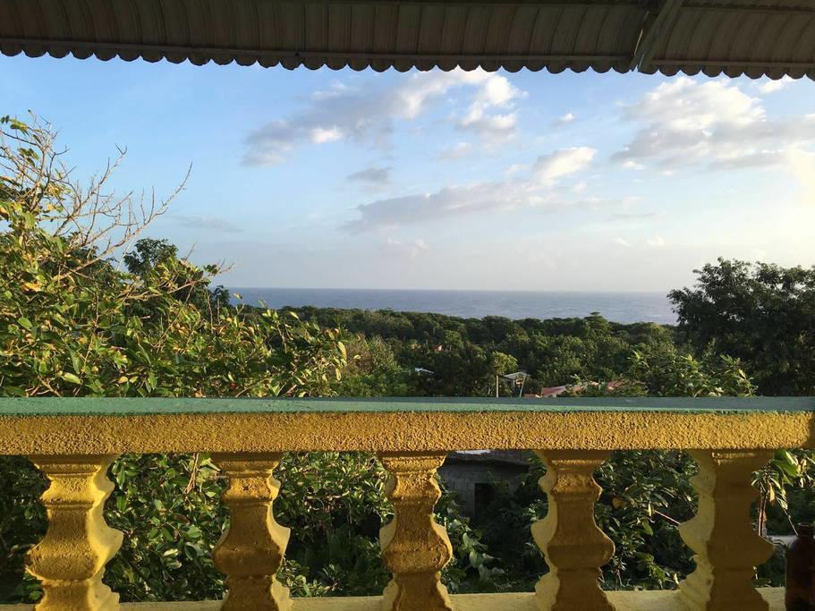 Ackee Tree Sea View