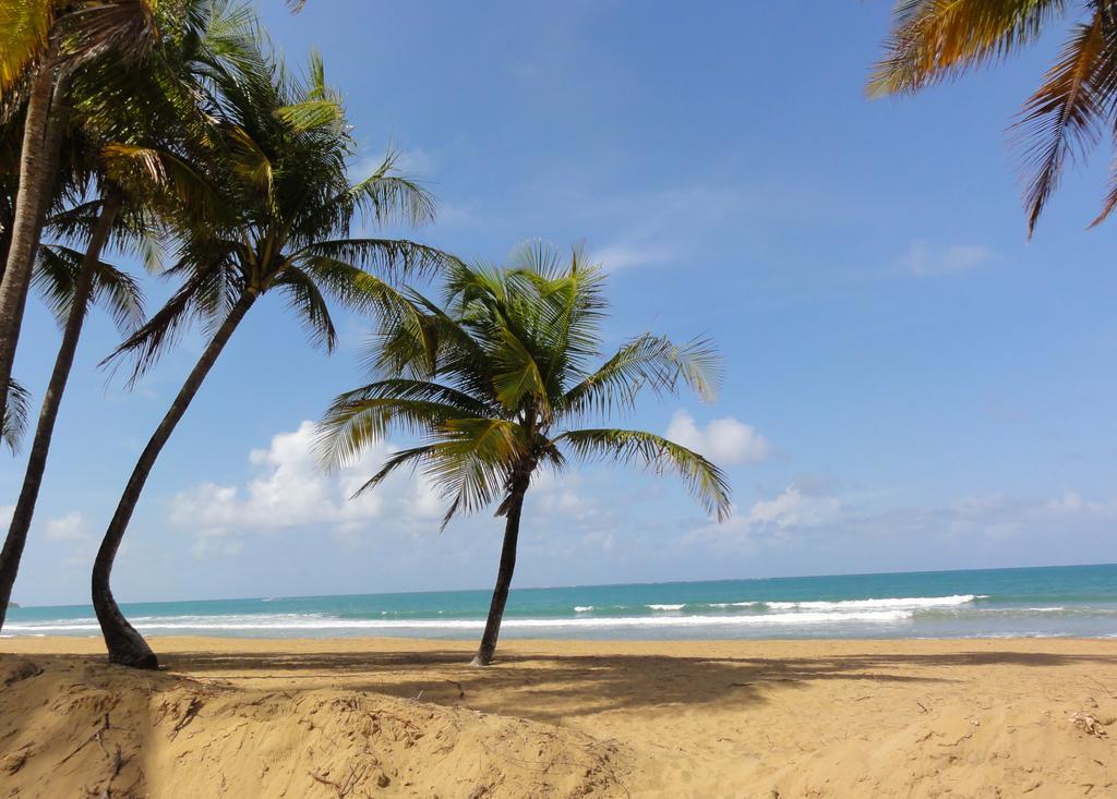 Apartment One-bedroom Oceanfront At Rio Mar *