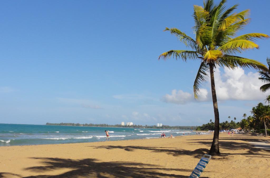 Apartment One-bedroom Oceanfront At Rio Mar *