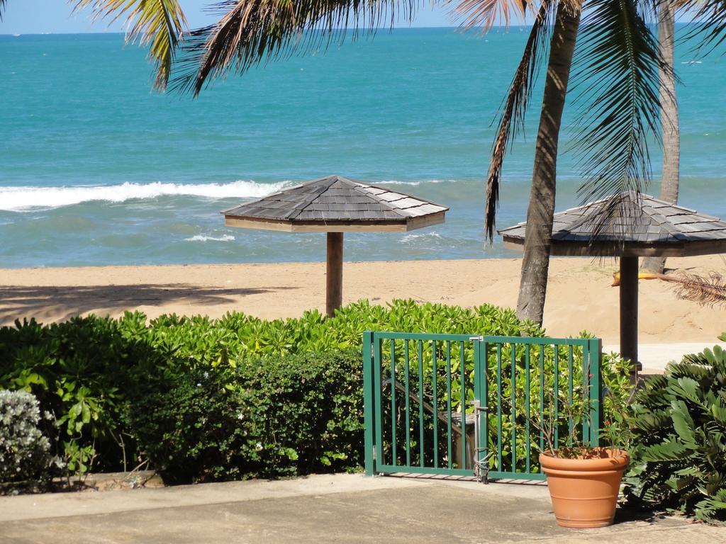 One-bedroom Oceanfront At Rio Mar Rio Grande
