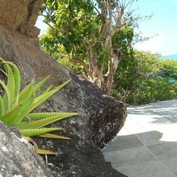 Galley Bay
