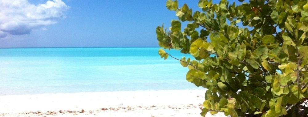 Hotel Galley Bay 3*