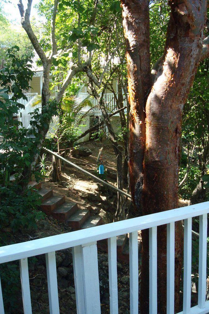 Hotel Galley Bay Five Islands Village