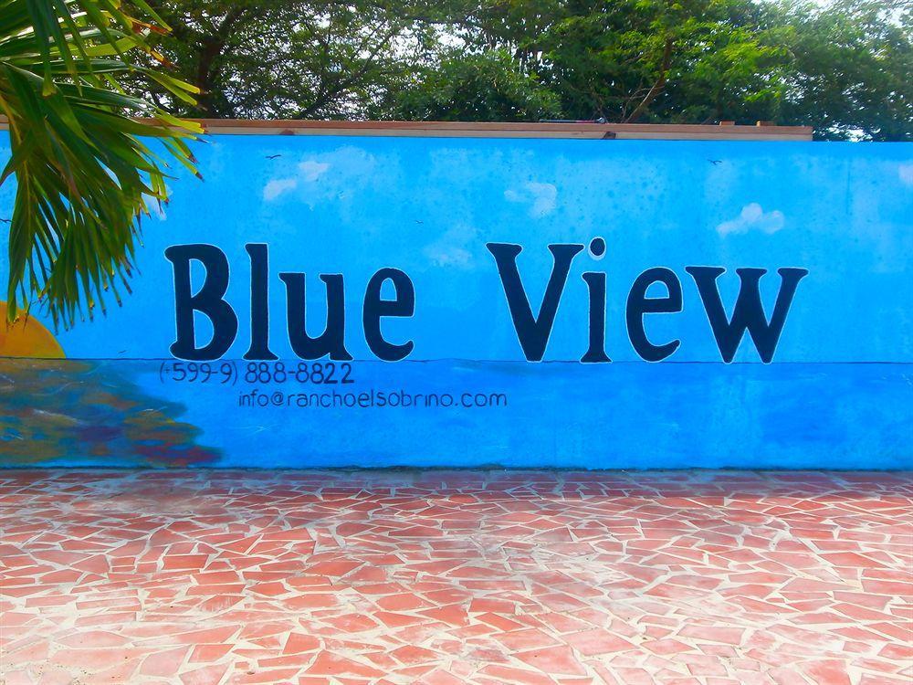 Blue View *