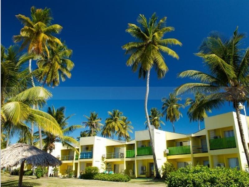 Starfish Tobago