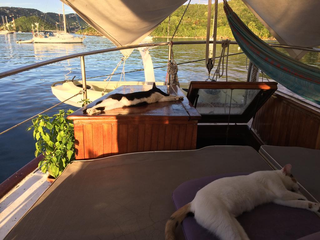 Botel St Thomas On Sailboat Ragamuffin Incl Meals Water Toys Water Island