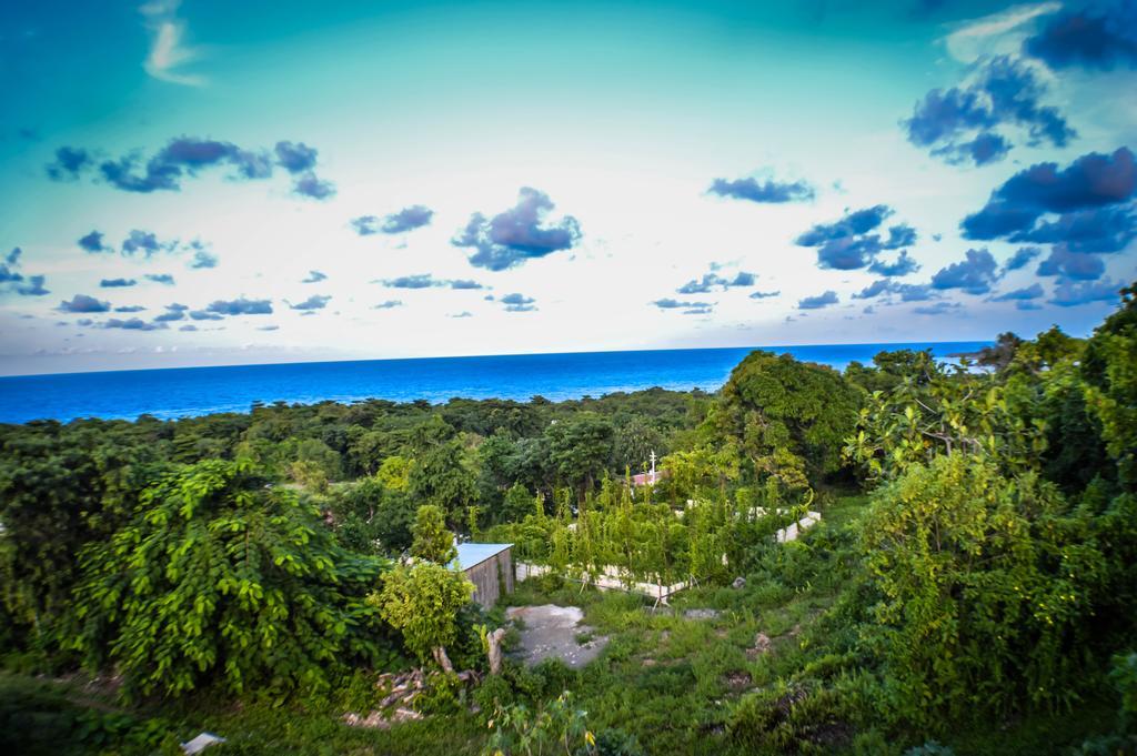 Ackee Tree Sea View *