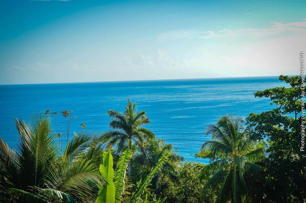 Casa de hóspedes Ackee Tree Sea View *