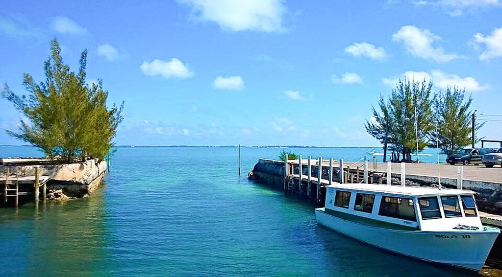 Resort Green Turtle Club & Marina 3*
