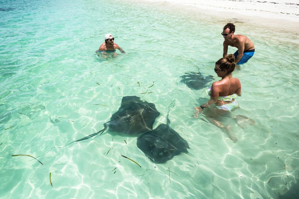 Green Turtle Club & Marina Resort Green Turtle Cay
