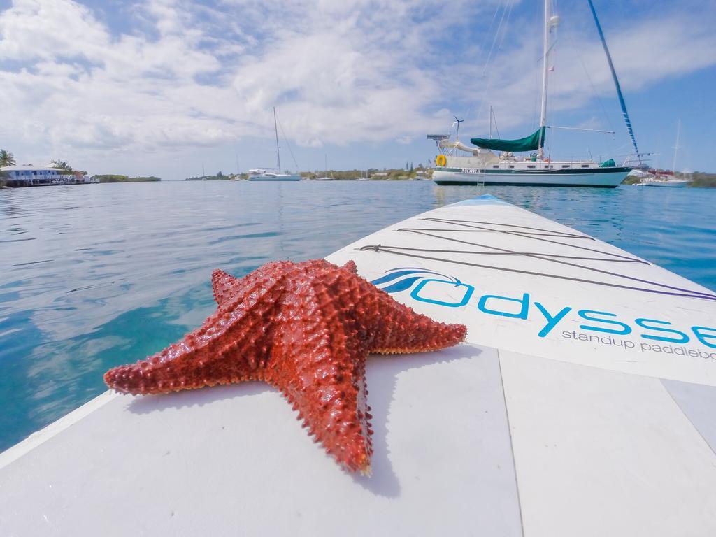 Resort Green Turtle Club & Marina