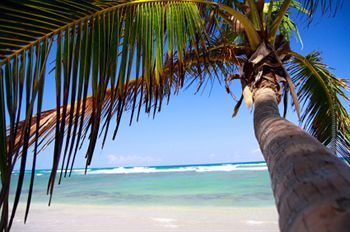 Spotts Beach Hotel 3*