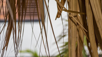 Resort Windhoek Bonaire Kralendijk (Bonaire)
