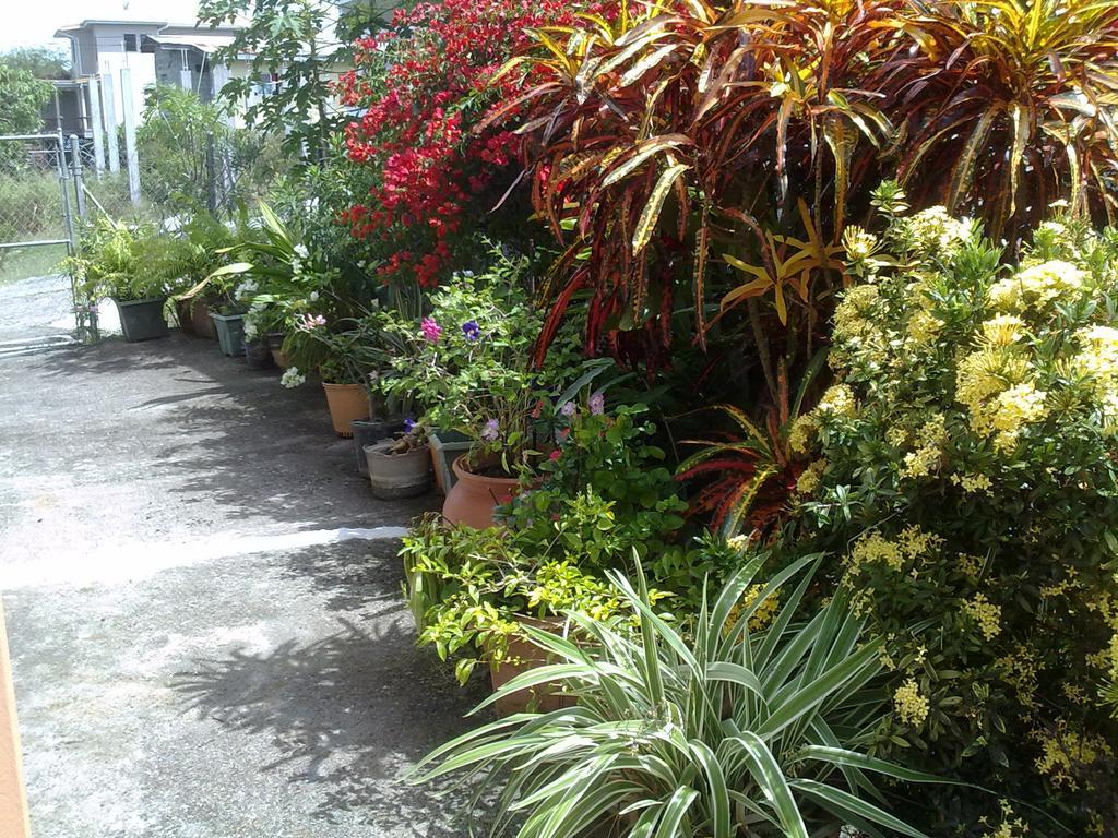 Apartment Annie's Ocean View Grand Anse