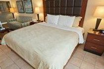 Divi Studio Apartment