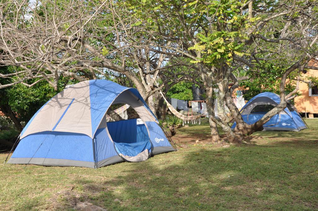 Fish Tobago Guest house