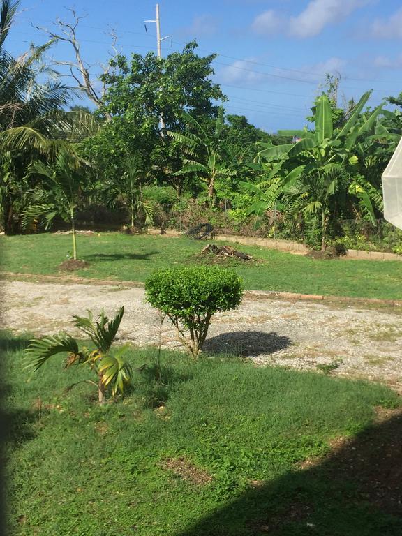 Garden Apartment-Beach-5Min Drive, 1 Hr Montego Bay, 25 Mins Ocho Rios, Welcome Breakfast Basket Runaway Bay