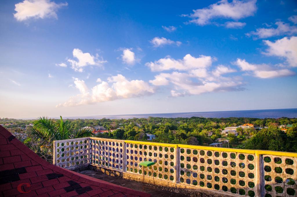 Ackee Tree Sea View *