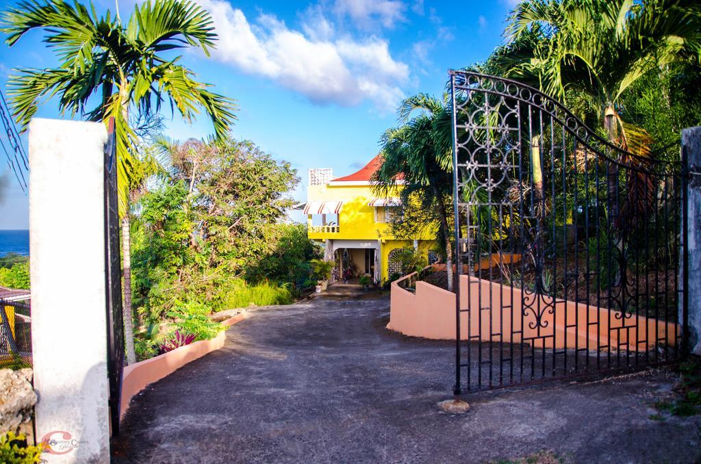 Casa de hóspedes Ackee Tree Sea View Port Antonio