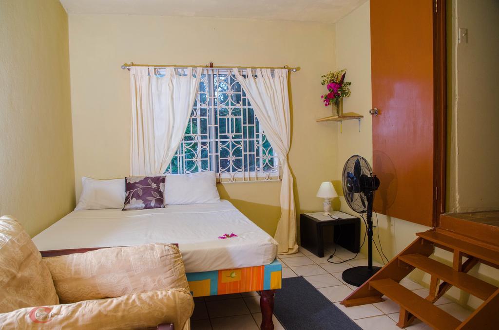 Ackee Tree Sea View Port Antonio