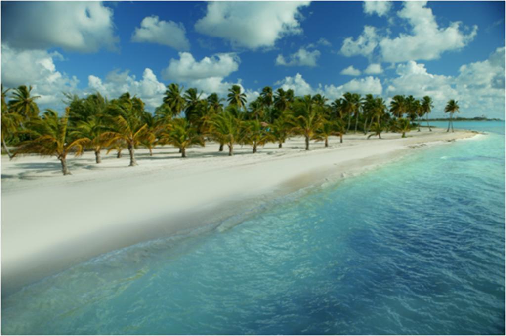 Resort Alsol Tiara Cap Cana (adults Only) 5*