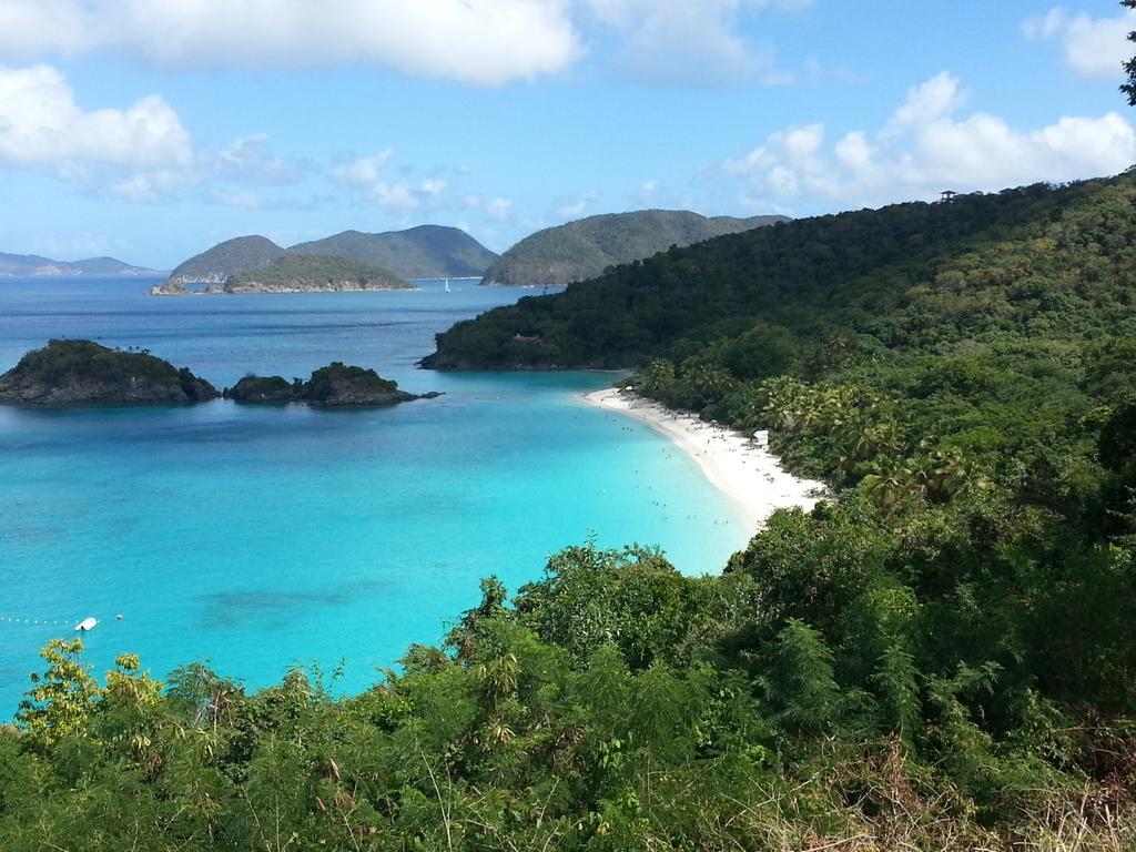 Apartment Luxury Beachfront King On Sapphire Ii East End (Saint Thomas)