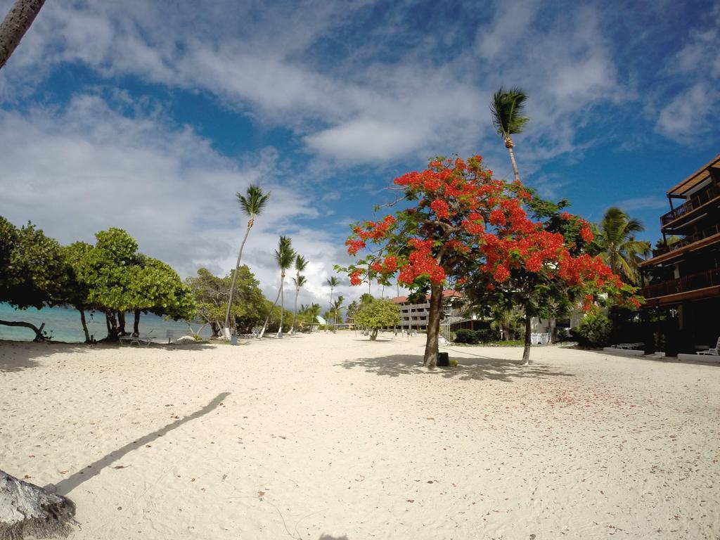 Apartment Luxury Beachfront King On Sapphire Ii *