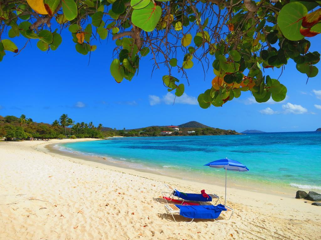 Apartment Luxury Beachfront King On Sapphire Ii *