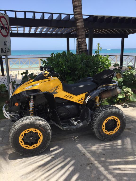 Aligio Beachfront Paradise Apartment