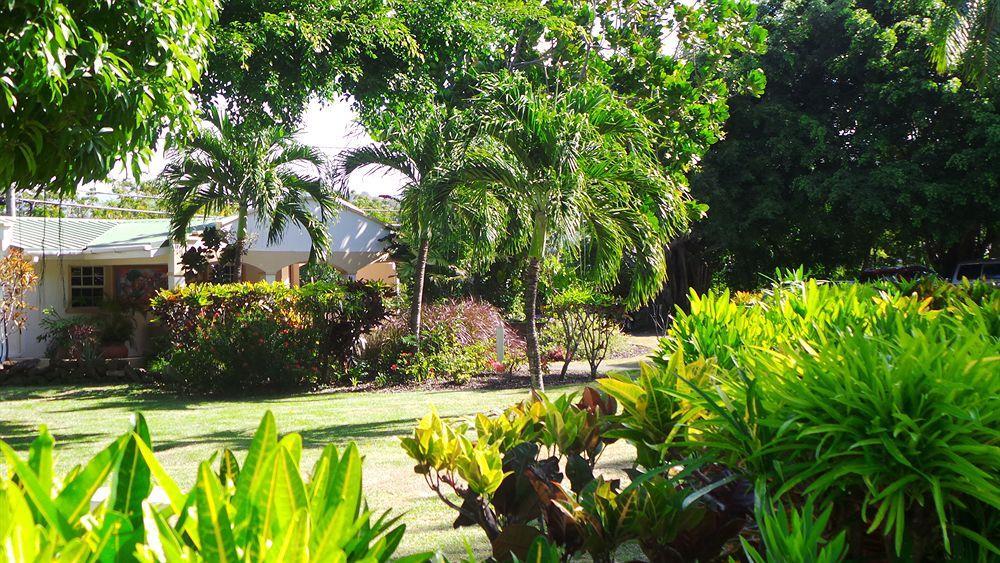 Blue Horizons Garden