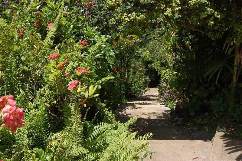 At Shaw Park Gardens & Waterfalls 2*