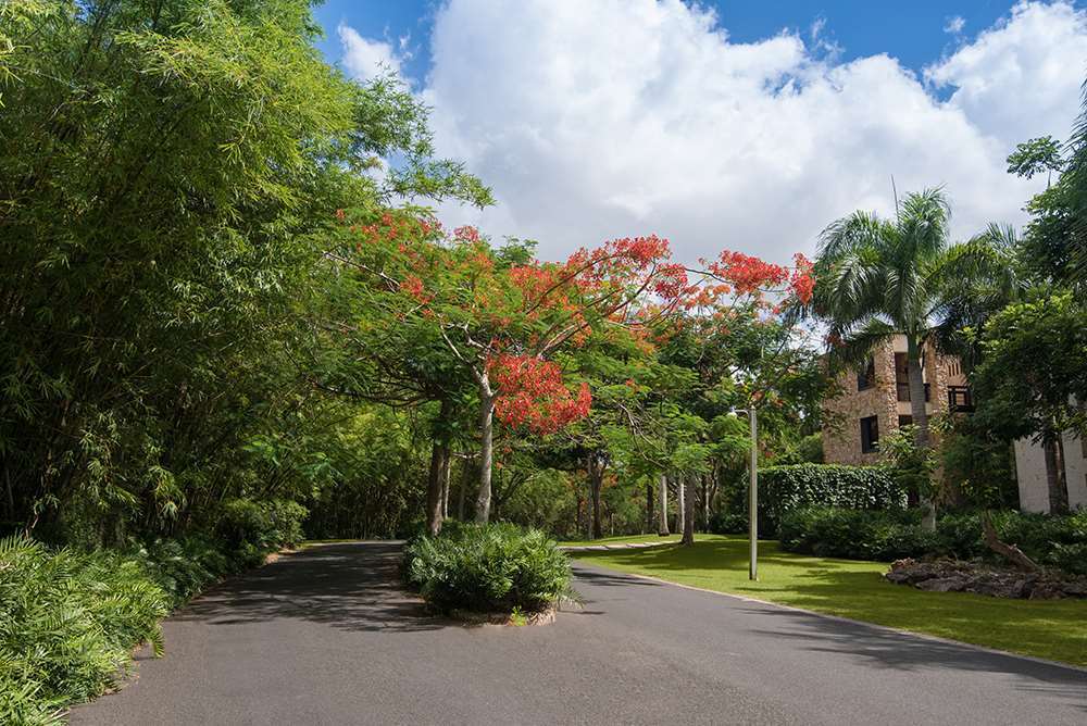 Altos Residences * La Romana