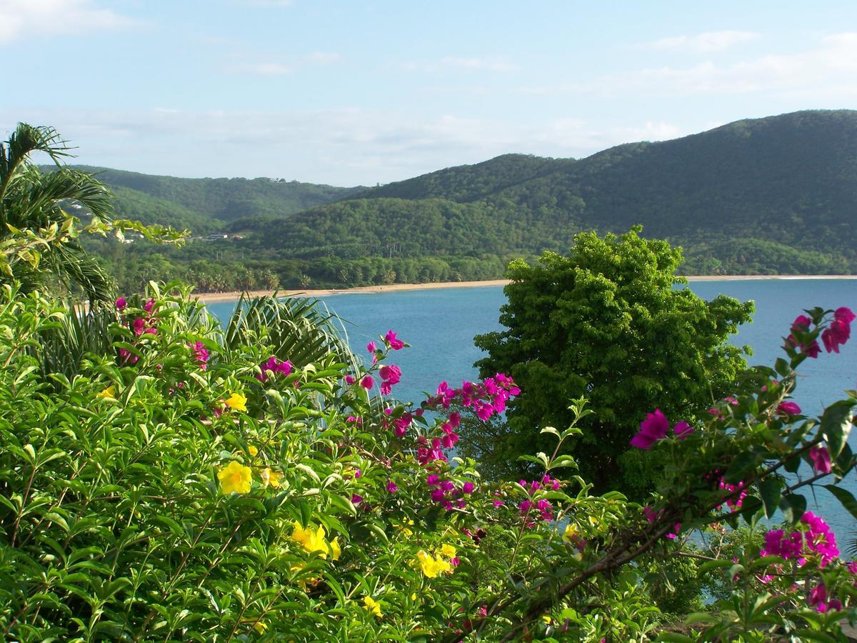 Les Calebassiers Casa de férias Deshaies