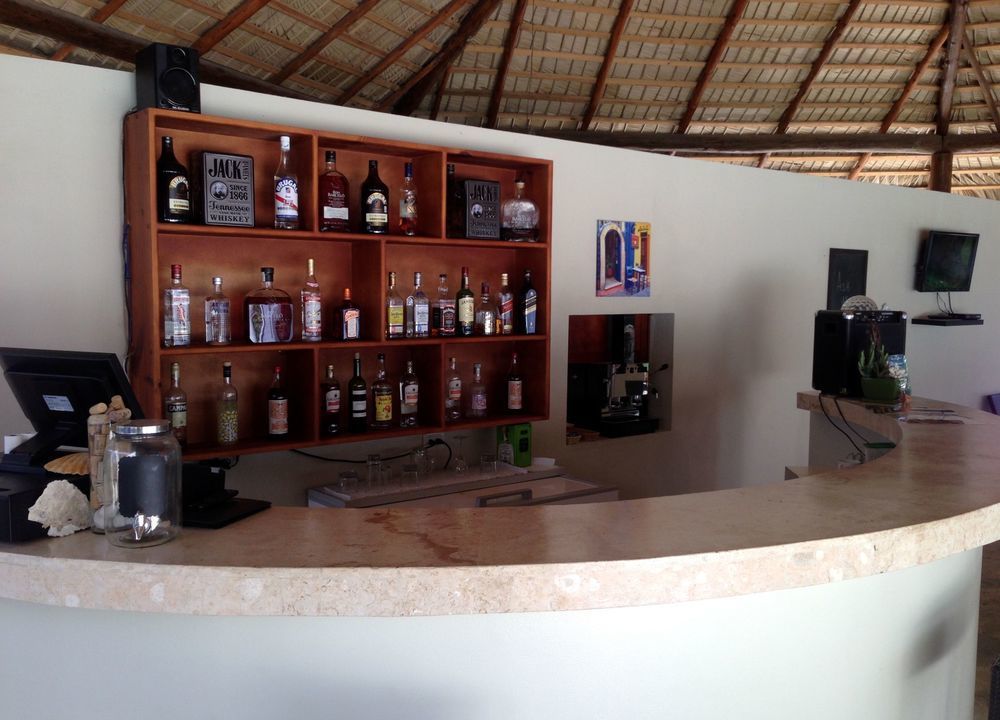 Coral Blanco 3*