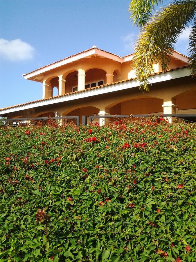Bouganville
