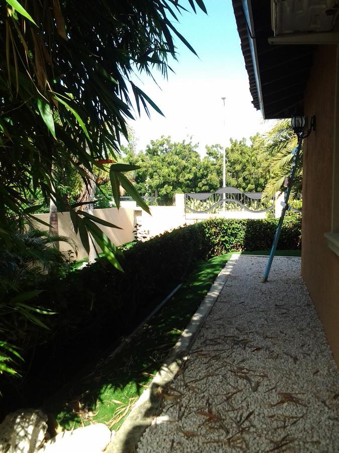 Bouganville 5*