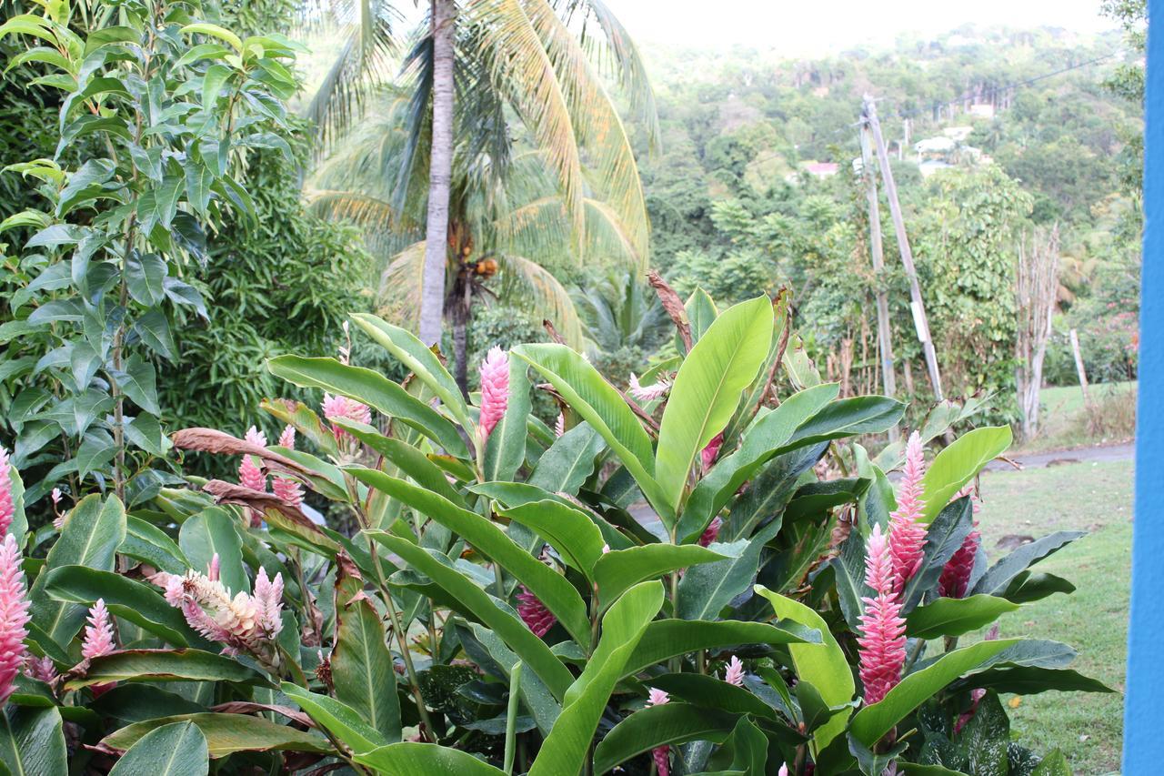 Coeur Caraibes Holiday park