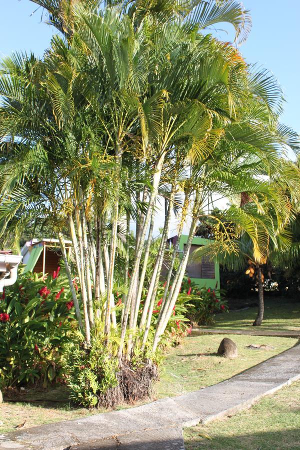 Coeur Caraibes 2* Deshaies